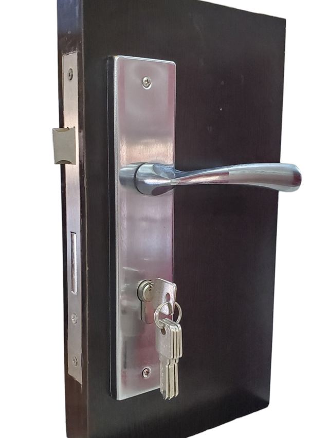 Entrance Door Handle Lock - Curved Silver