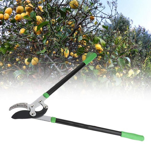 Heavy Duty Lopping Shears, chithunzi 2