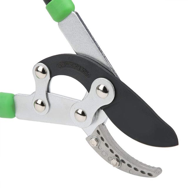Heavy Duty Lopping Shears, chithunzi 3