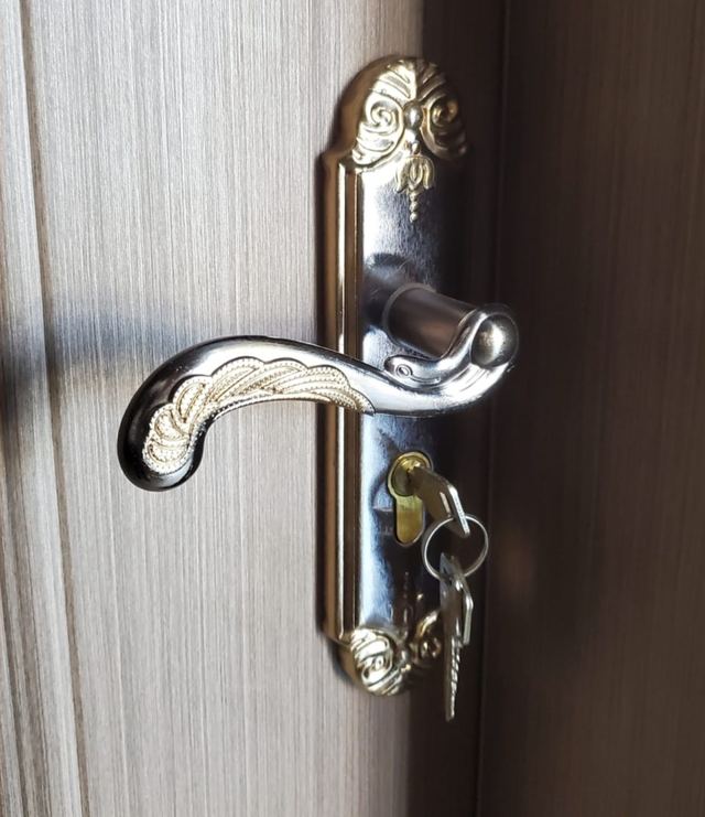 Vintage Interior Door Handle Lock