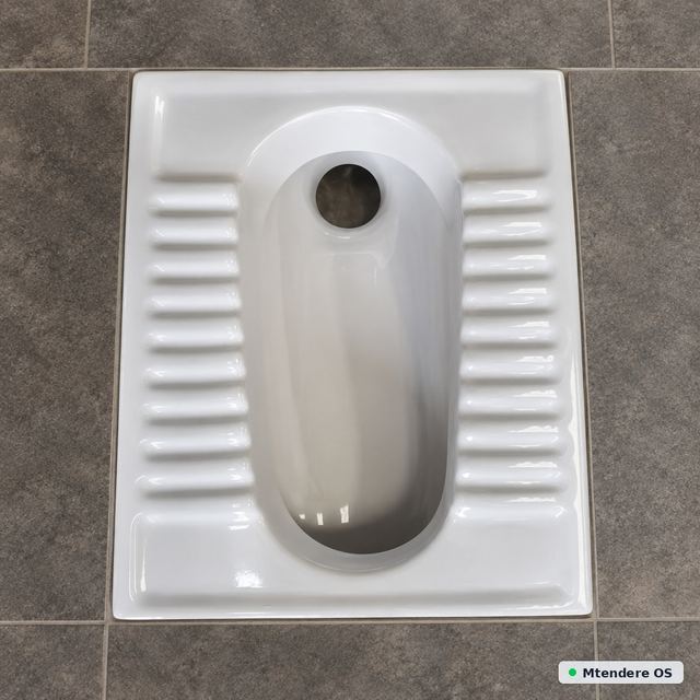 White Ribbed Squat Toilet Pan